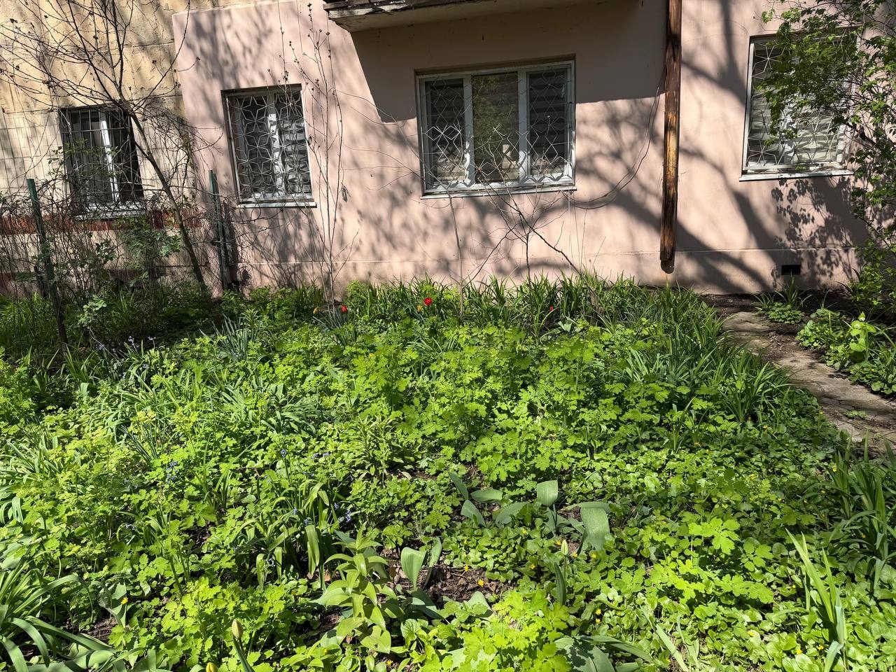 продажа двухкомнатной квартиры номер A-174769 в Малиновском районе, фото номер 11